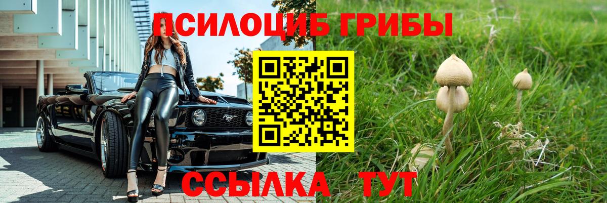 Псилоцибиновые грибы прущие грибы  Вход с VPN  Нефтекумск 